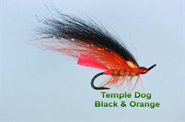 Temple Dog Black and Orange JC